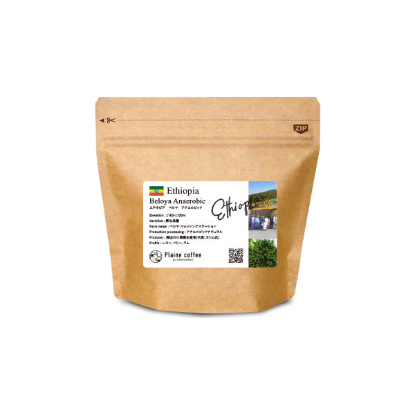 ベロヤ アナエロビック