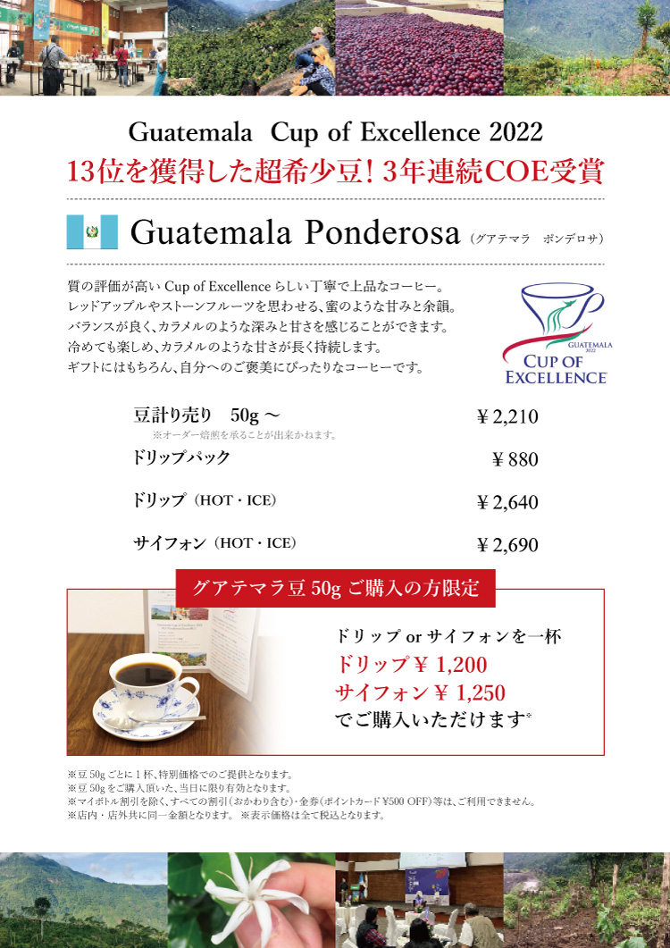 【新豆】 グアテマラ COE＃13 ポンデロサ　パカマラ　ナチュラル 入荷のお知らせ