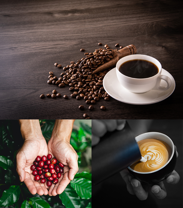 プレナコーヒー（Plaine coffee）